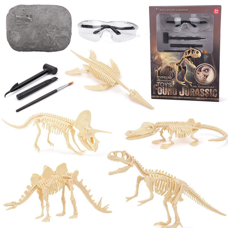 Model Kit For Girls - Kit di Scavo di Fossili di