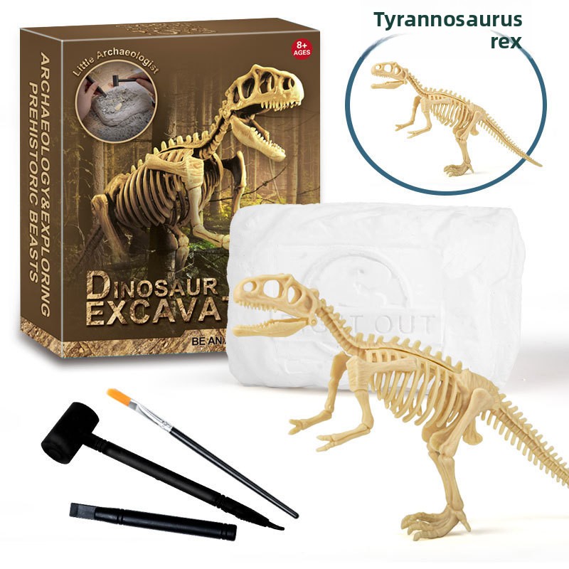 Kit di Scavo di Fossili di Din - Model Kit For Girls recensione e prezzo